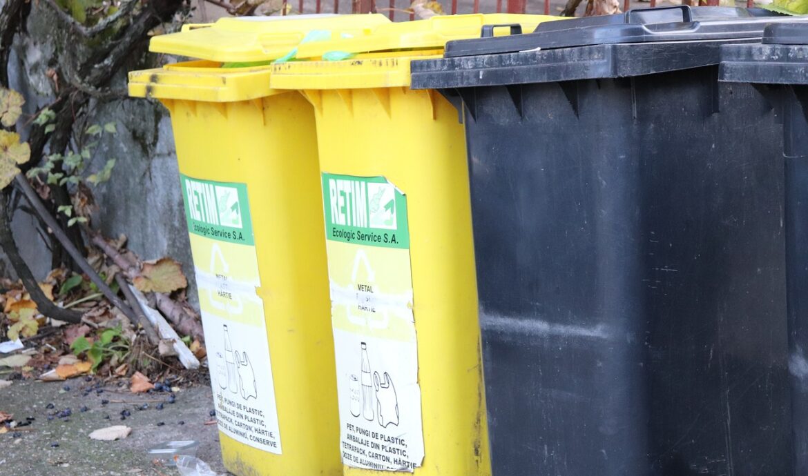 Jak nie marnować jedzenia
