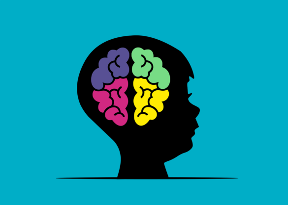 orzeczenie o niepełnosprawności